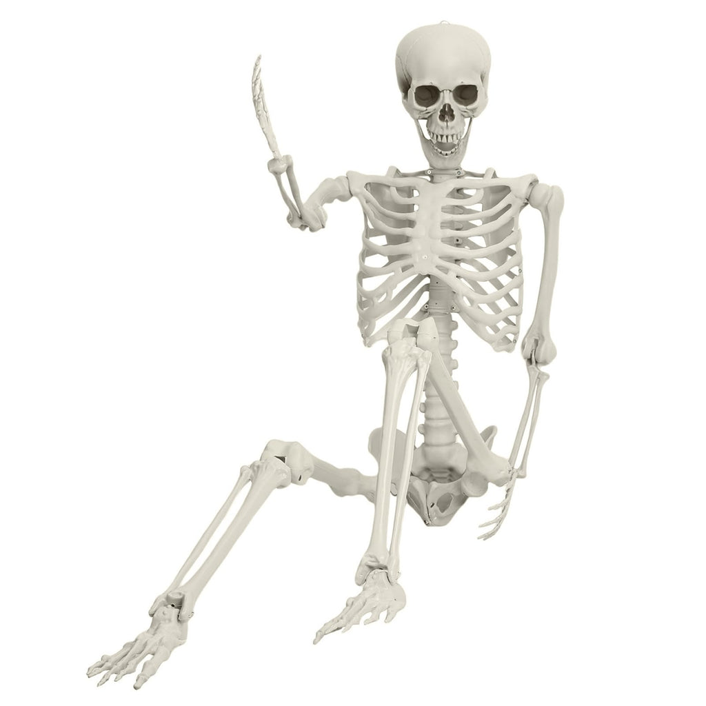 Life Size Posable Skeleton Prop J511093