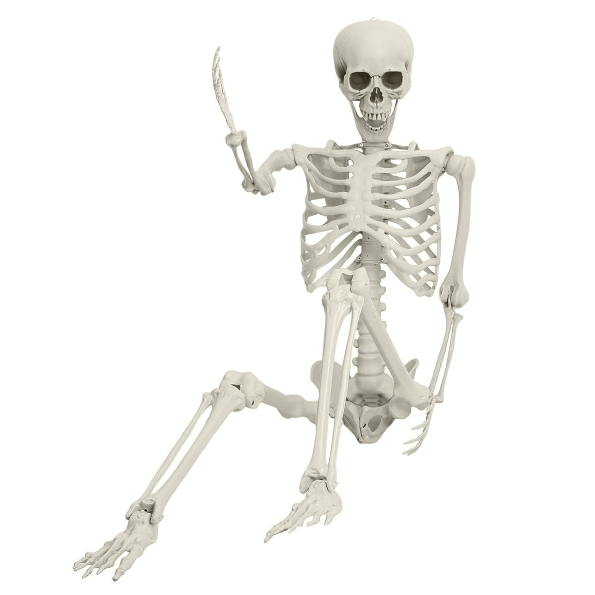 Life Size Posable Skeleton Prop J511093