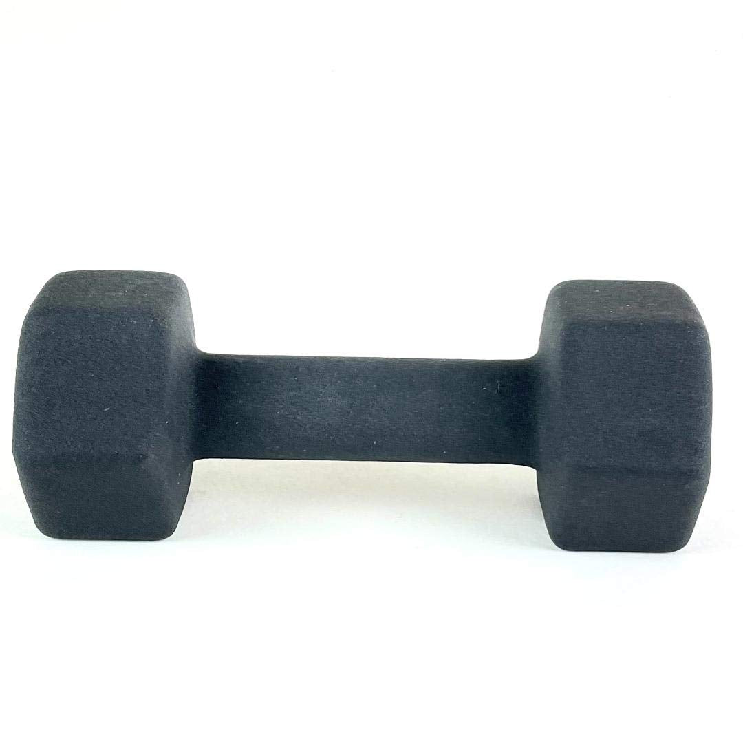 Black 10LB Set of 2 Neoprene Coated Hex Dumbbell H3925