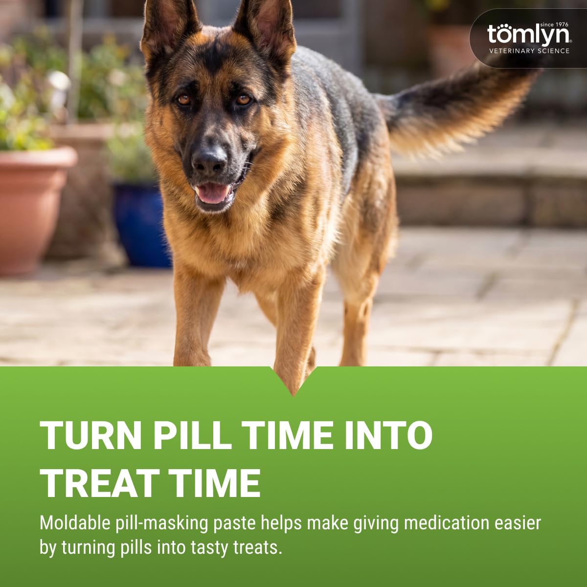 Bacon-Flavored Paste for Dogs & Cats, 4oz W557756