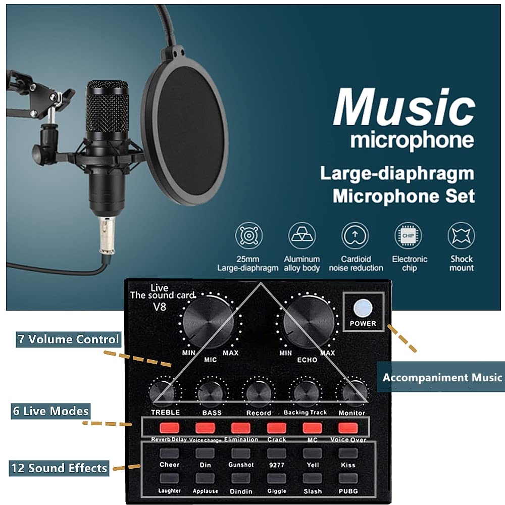 Condenser Microphone Bundle with Voice Changer X1670