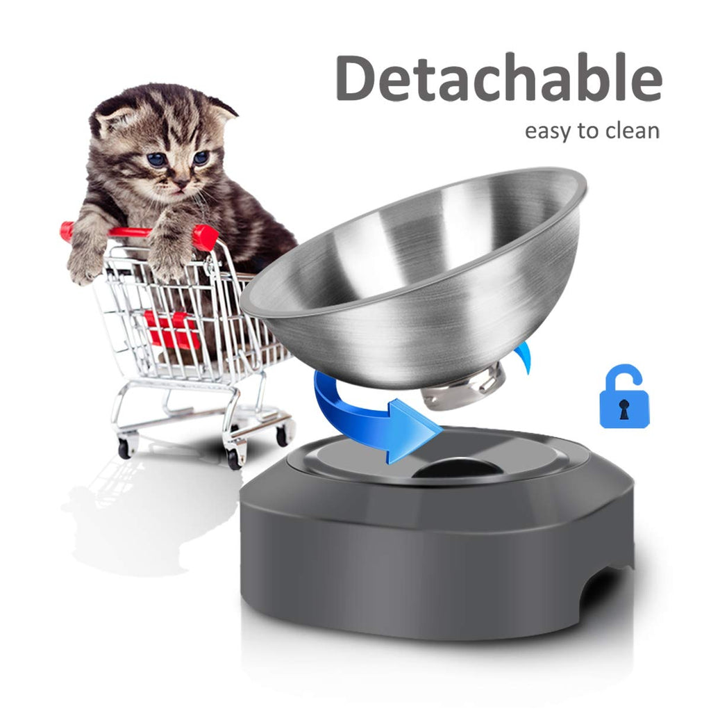 Stainless Steel Raised Cat Food Bowl Y240