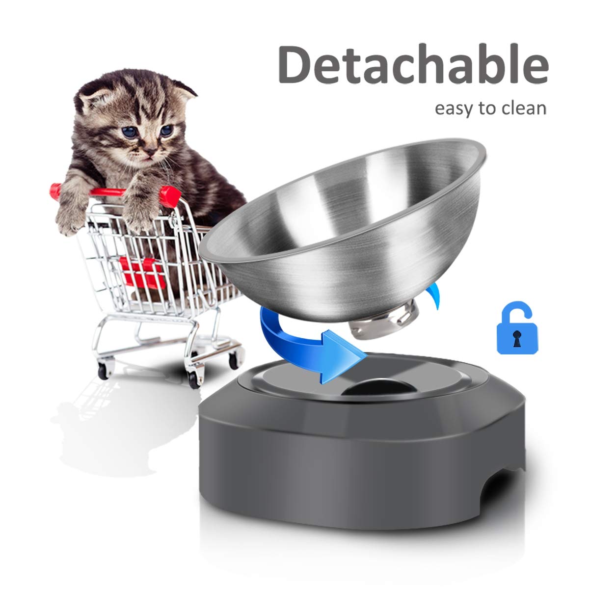 Stainless Steel Raised Cat Food Bowl Y240