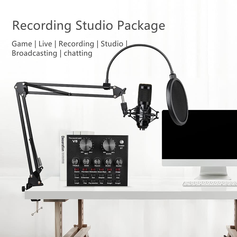 Condenser Microphone Bundle with Voice Changer X1670