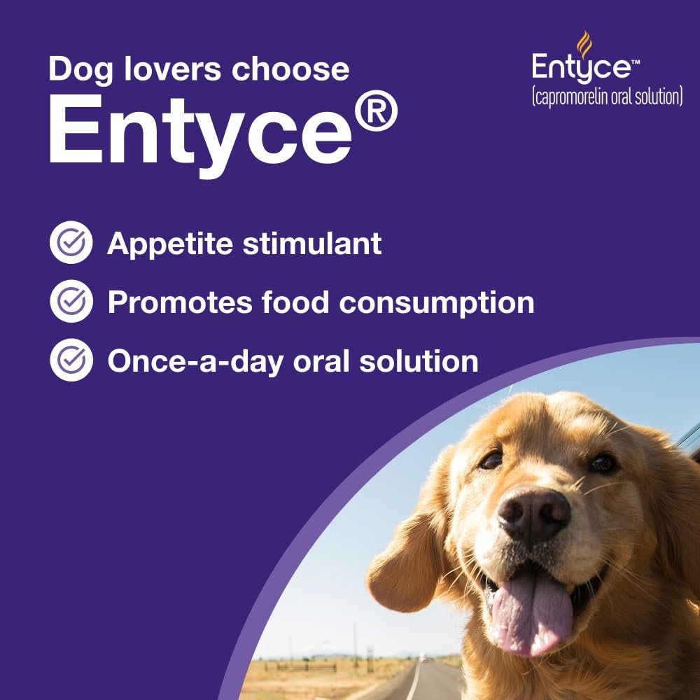 Dog Appetite Stimulant Oral Solution 30mg/ml 10 ml E12872