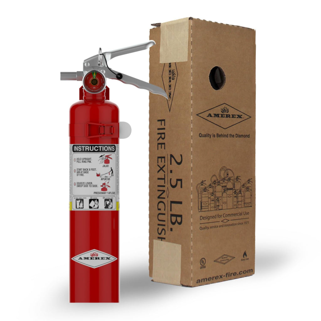 2.5 lb. ABC Dry Chemical Fire Extinguisher with Wall Bracket, 2 Pack E41906