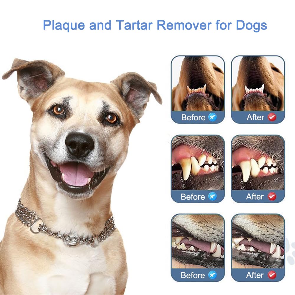 Pet Ultrasonic Tooth Cleaner with 3 Adjustable Modes N279176