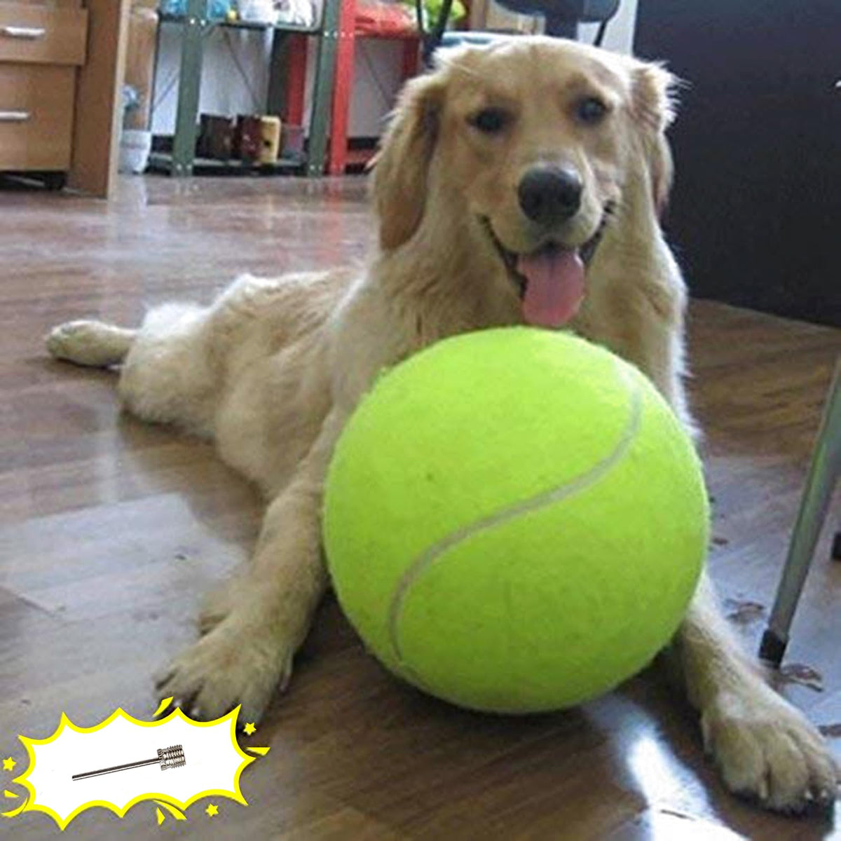 Dog Tennis Ball Y960