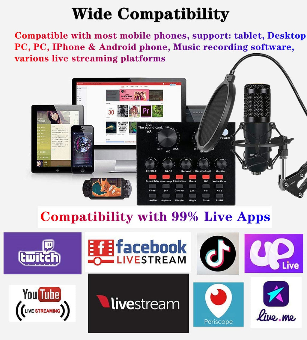 Condenser Microphone Bundle with Voice Changer X1670