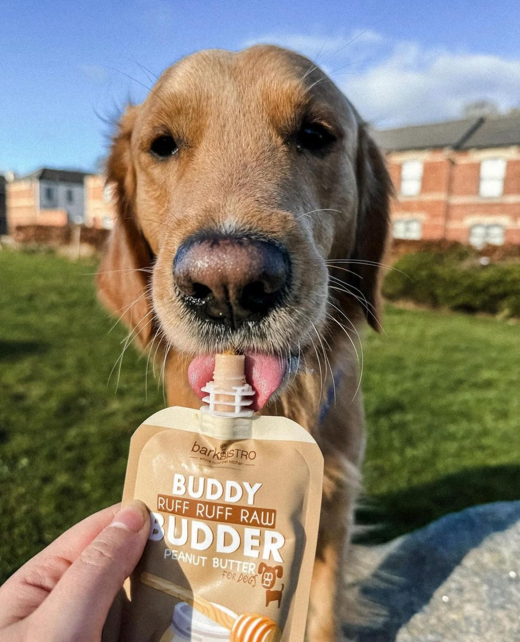 6 Pack 4oz Natural Dog Peanut Butter Squeeze Packs R8617