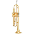 Bb Trumpet R8180