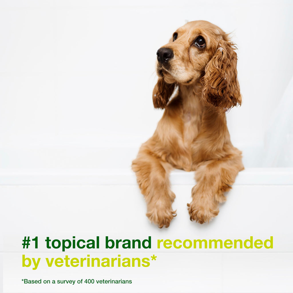 Dog Seboregulating Shampoo 6.7 fl oz N7129