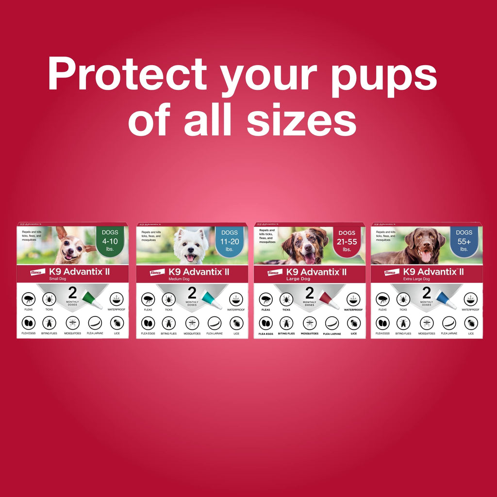 Flea & Tick Topical for Medium Dogs 11–20 lbs., 2ct T89197