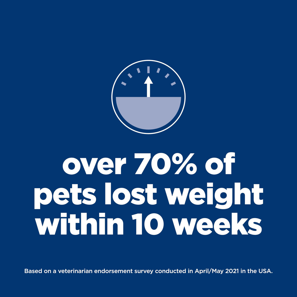 Dry Dog Food C743