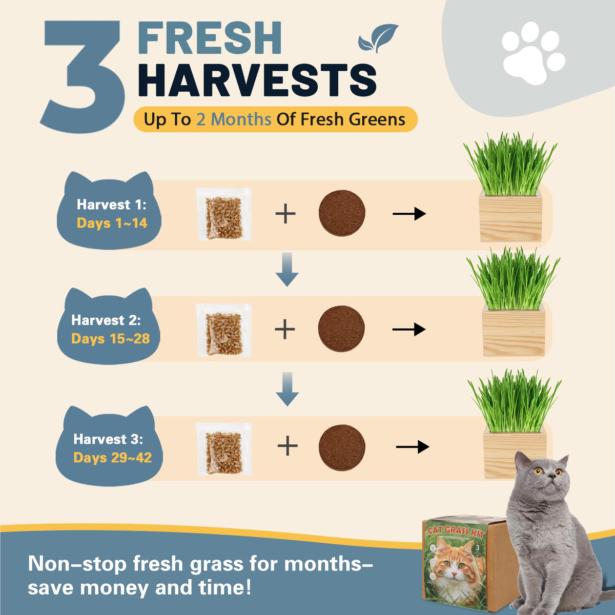 Cat Grass Growing Kit with Wooden Planter A2141