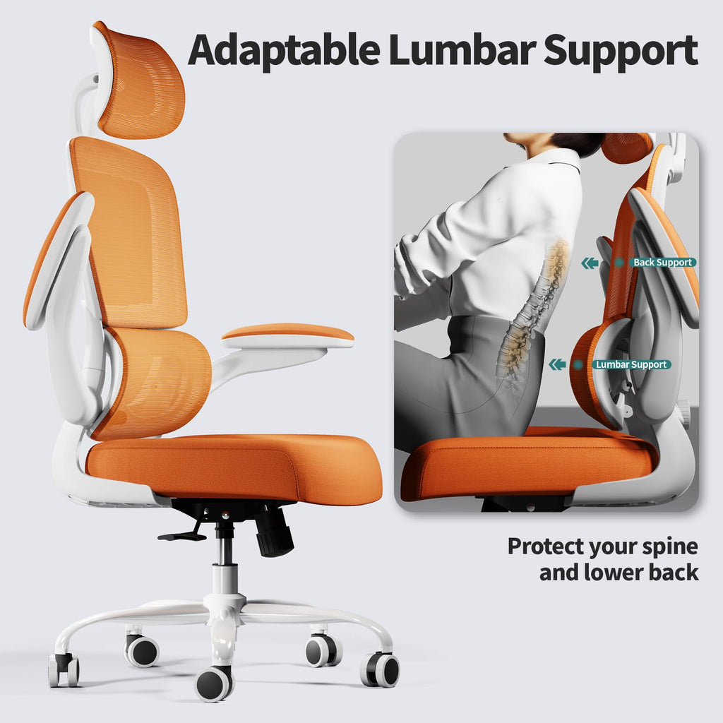 Ergonomic Office Chair with Lumbar Support Q56745