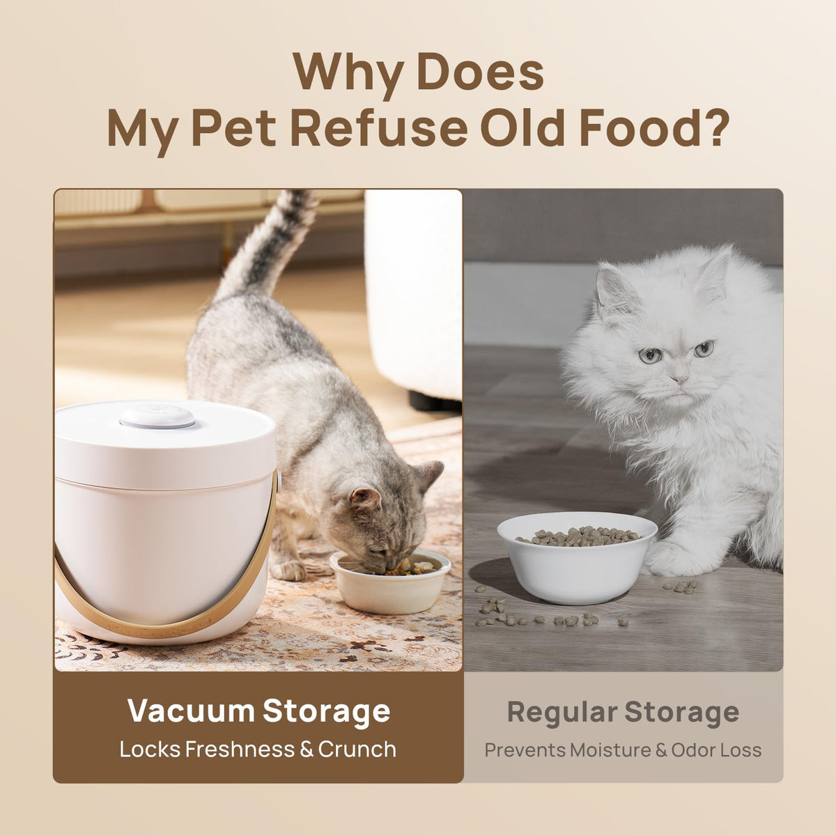 Vacuum Pet Food Storage Container 5 lb D8379