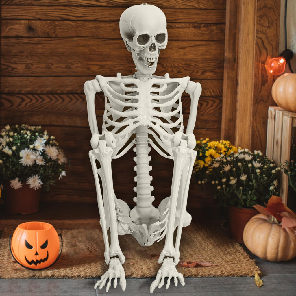 Life Size Posable Skeleton Prop J511093