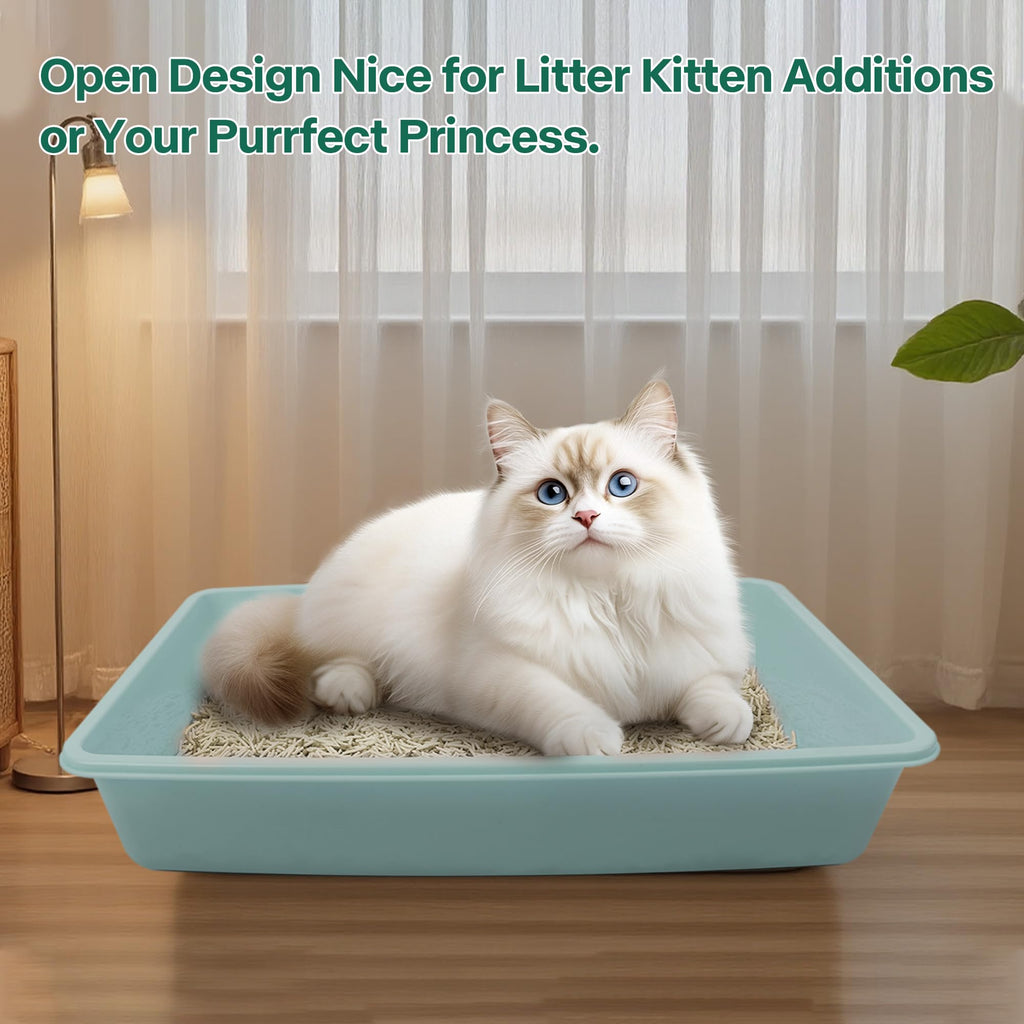 Small Cat Litter Box Starter Kit with Scoop, Bowls and Toys M450083