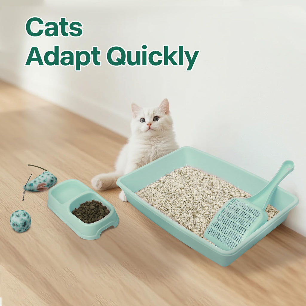 Small Cat Litter Box Starter Kit with Scoop, Bowls and Toys M450083