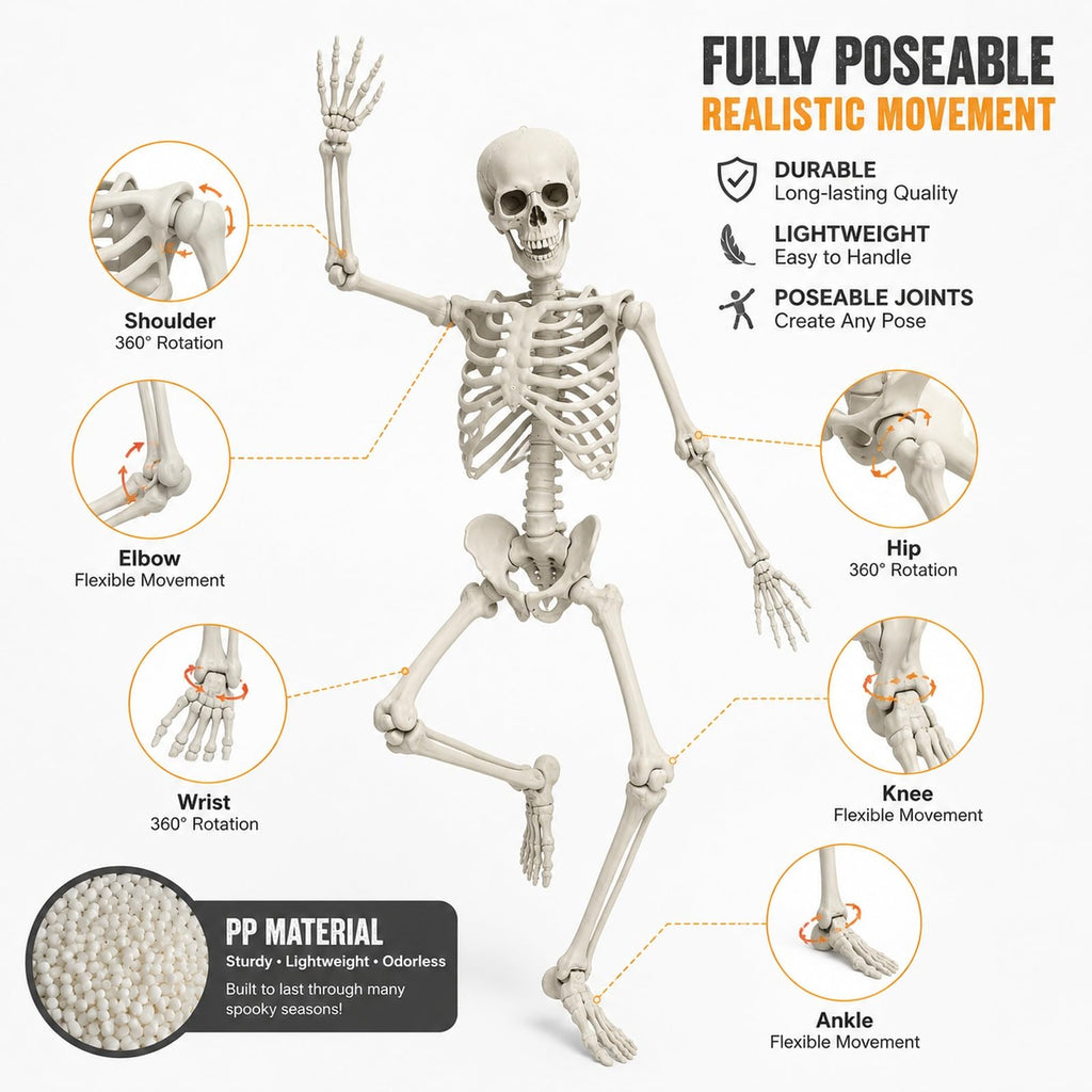 Life Size Posable Skeleton Prop J511093