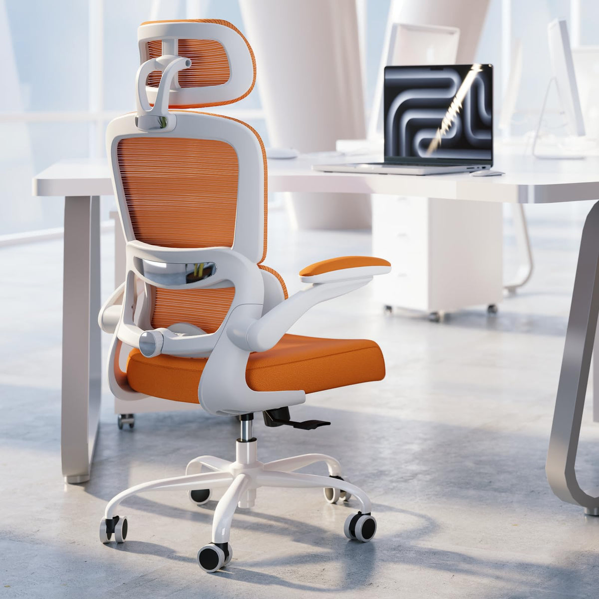 Ergonomic Office Chair with Lumbar Support Q56745