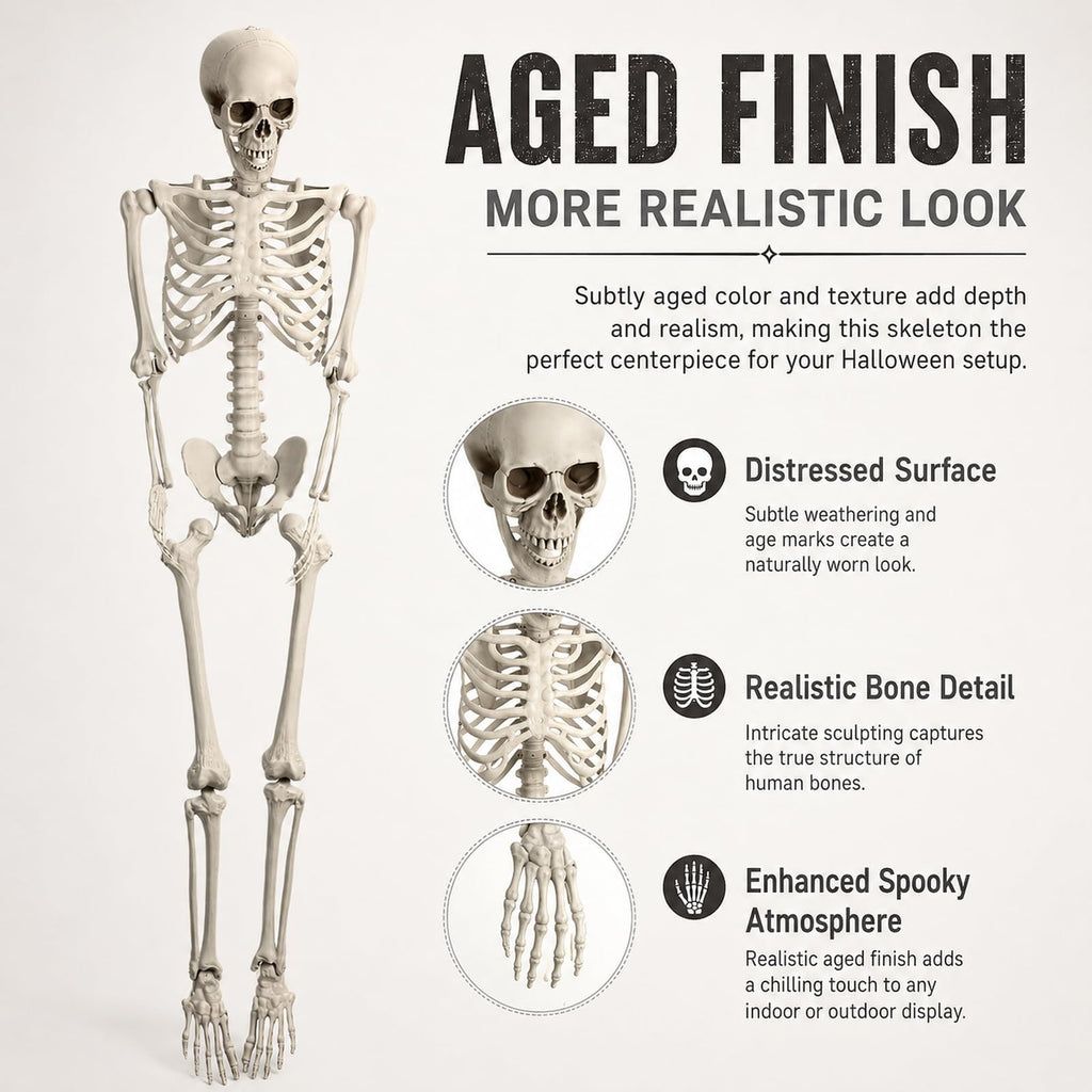 Life Size Posable Skeleton Prop J511093