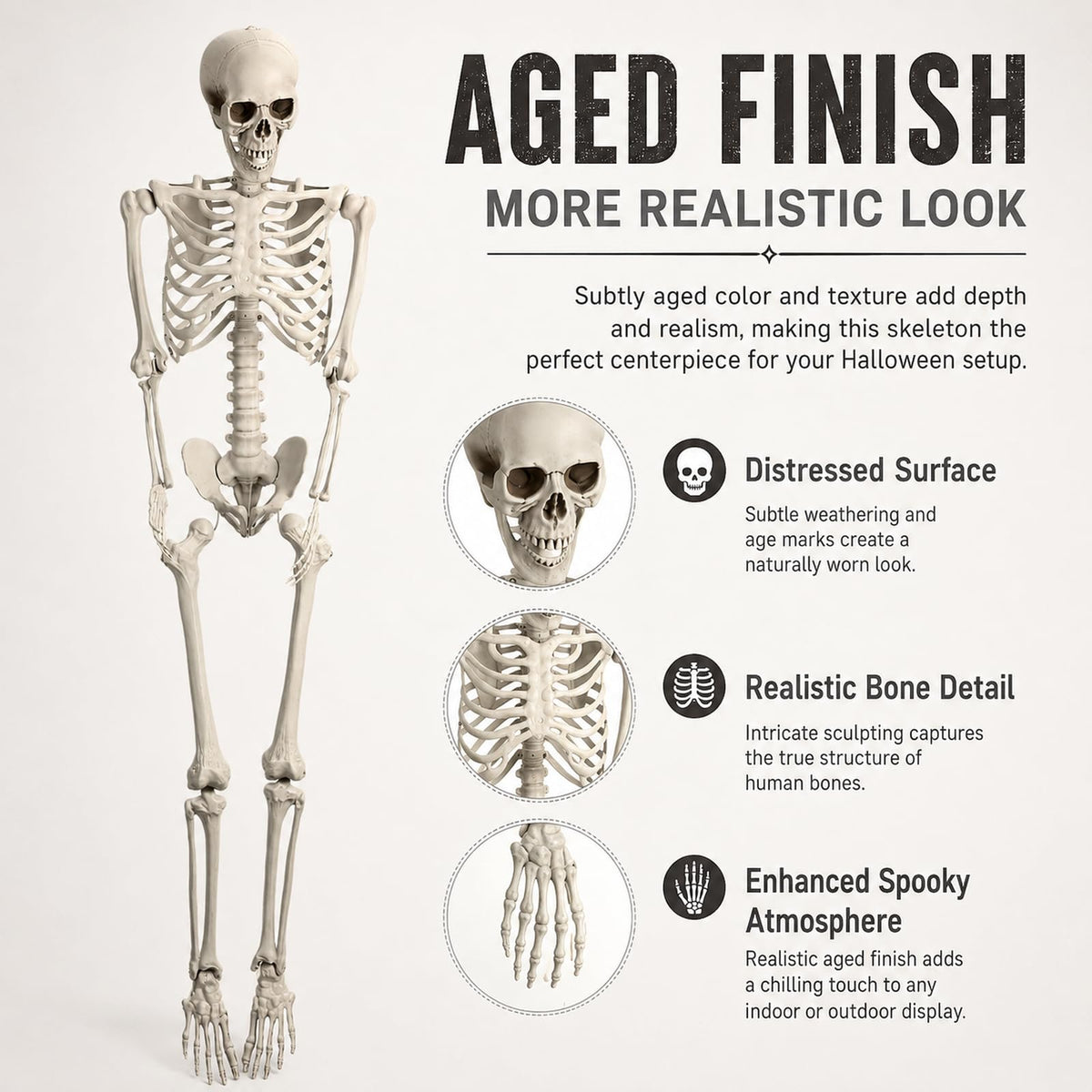 Life Size Posable Skeleton Prop J511093