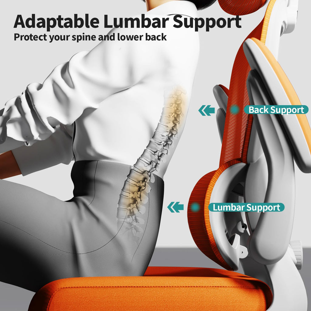 Ergonomic Office Chair with Lumbar Support Q56745