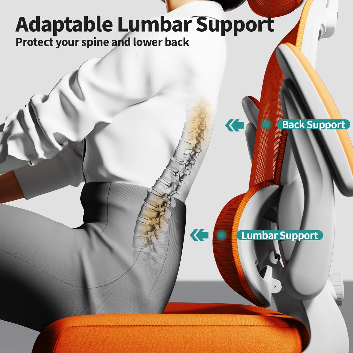 Ergonomic Office Chair with Lumbar Support Q56745