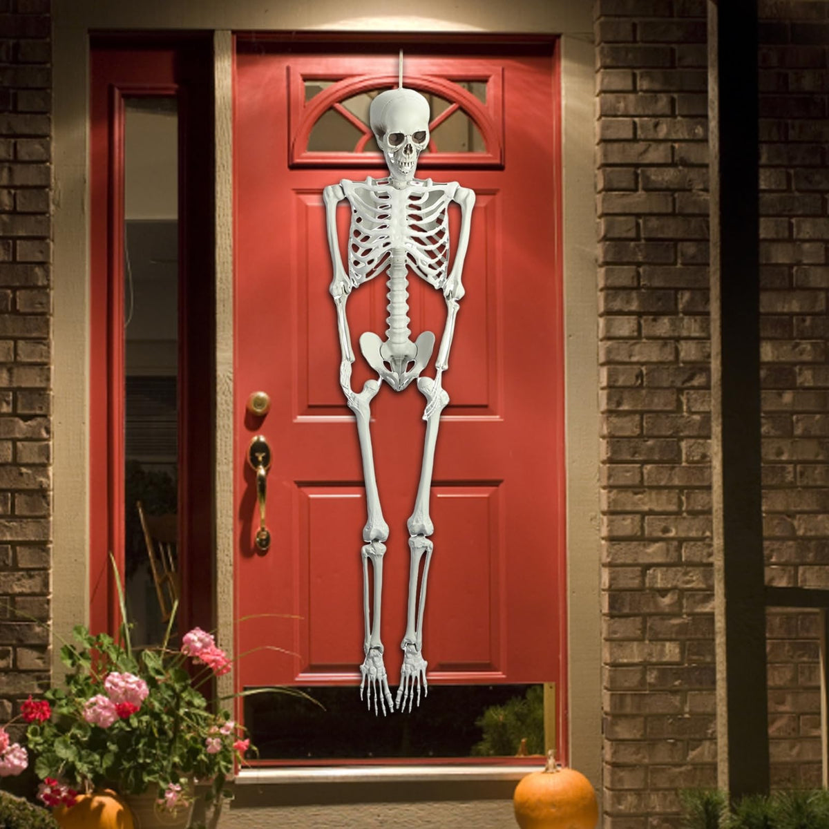 Life Size Posable Skeleton Prop J511093