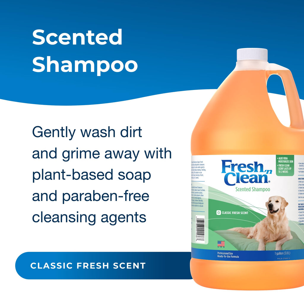Scented Shampoo with Vitamin E & Aloe Vera P5080