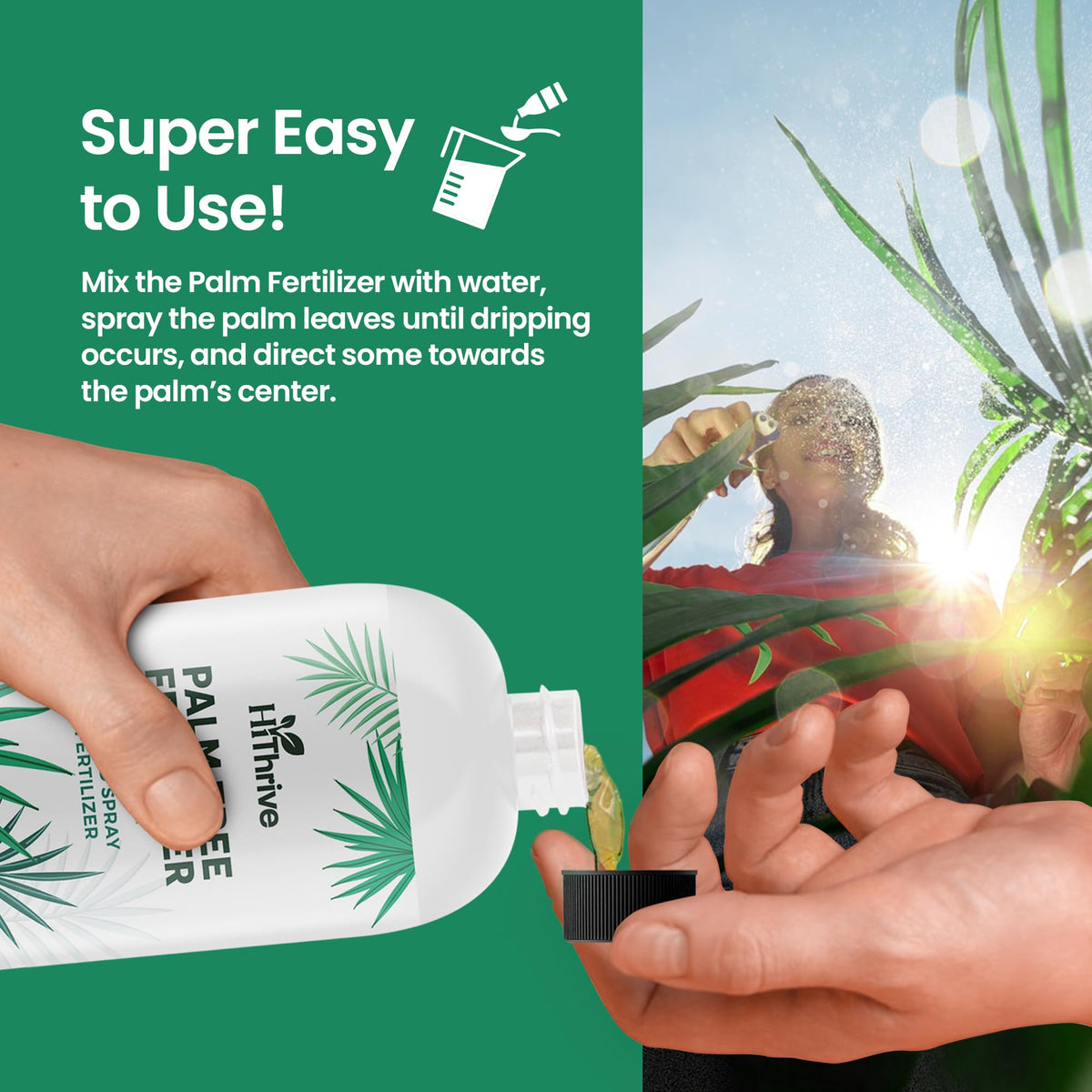 16oz Palm Tree Fertilizer C4552
