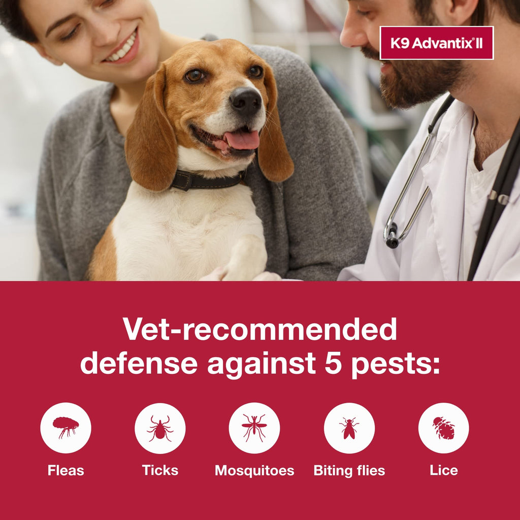Flea & Tick Topical for Medium Dogs 11–20 lbs., 2ct T89197