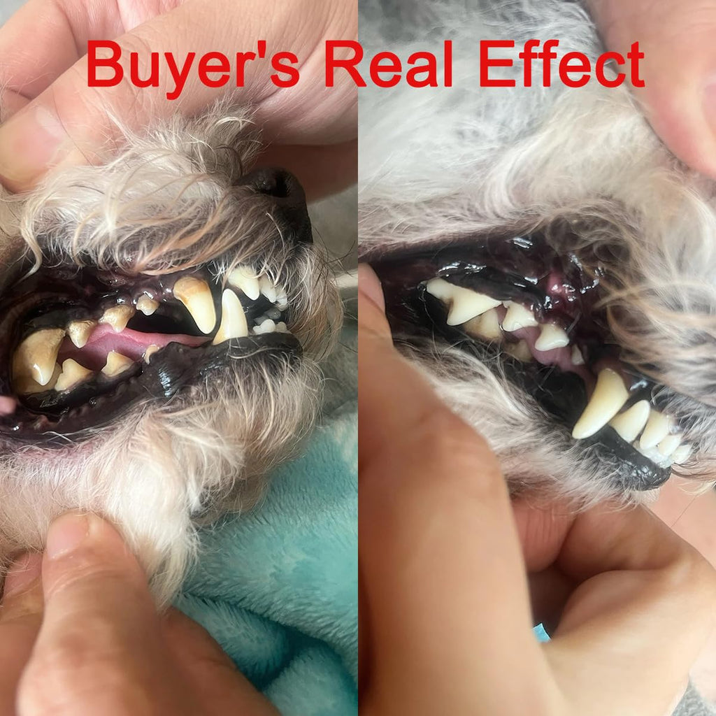 Pet Ultrasonic Tooth Cleaner with 3 Adjustable Modes N279176