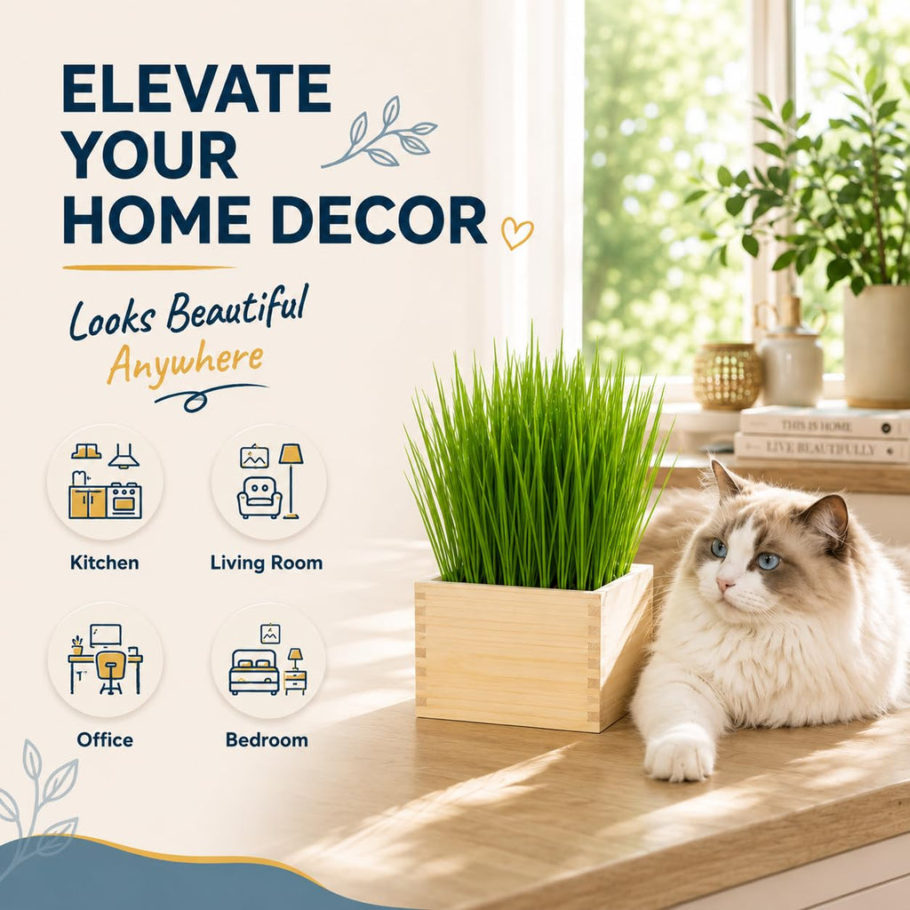 Cat Grass Growing Kit with Wooden Planter A2141