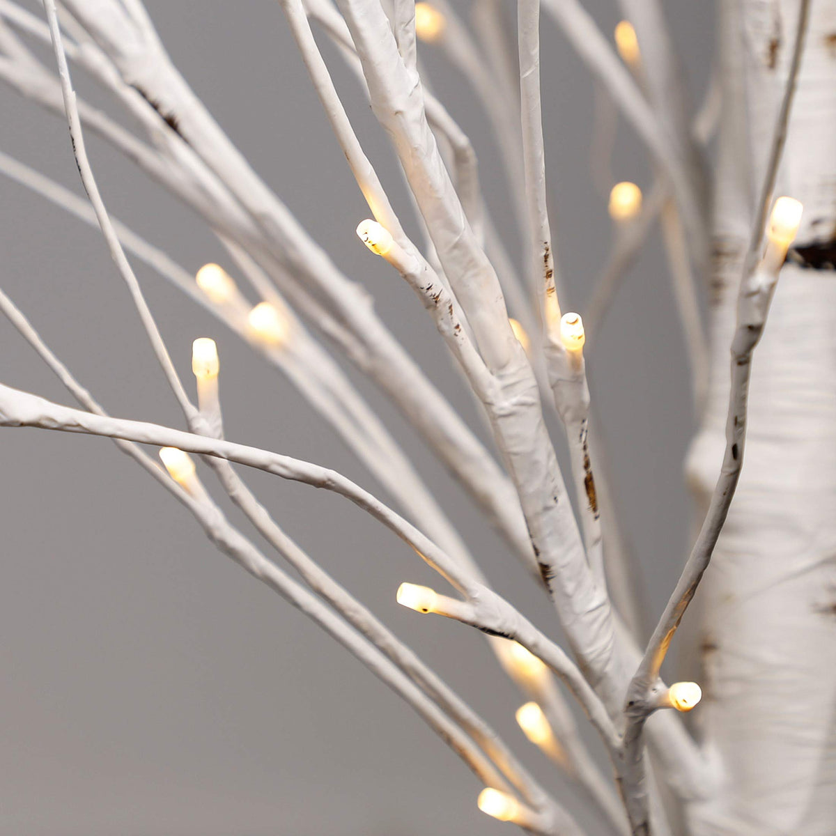 Lighted Birch Tree 6.1 Feet 96 LED A154