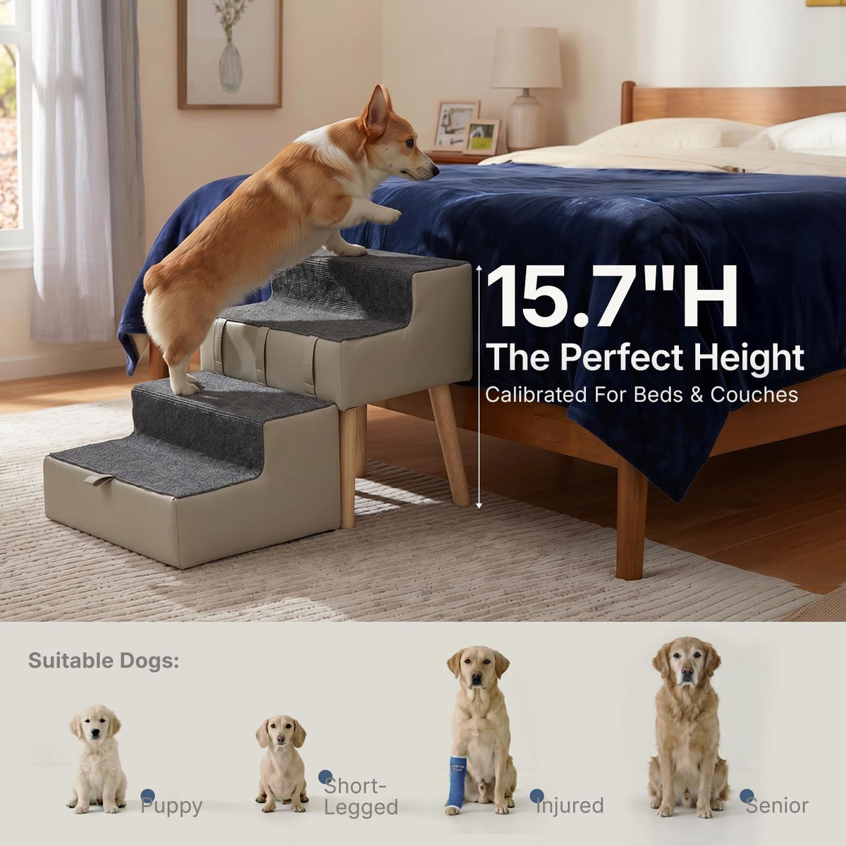 2-in-1 Foldable Dog Stairs & Ottoman L111
