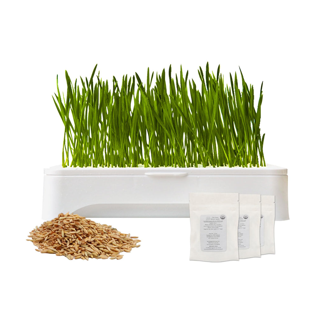 Cat Grass Kit with Organic Seeds Mix and Hydroponic Sprout Tray H3751