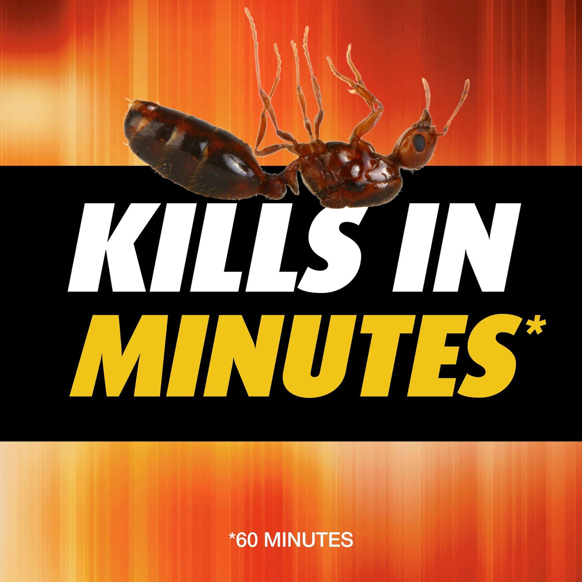 Ant Killer E267