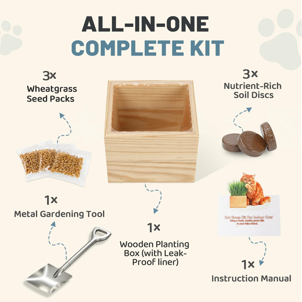 Cat Grass Growing Kit with Wooden Planter A2141