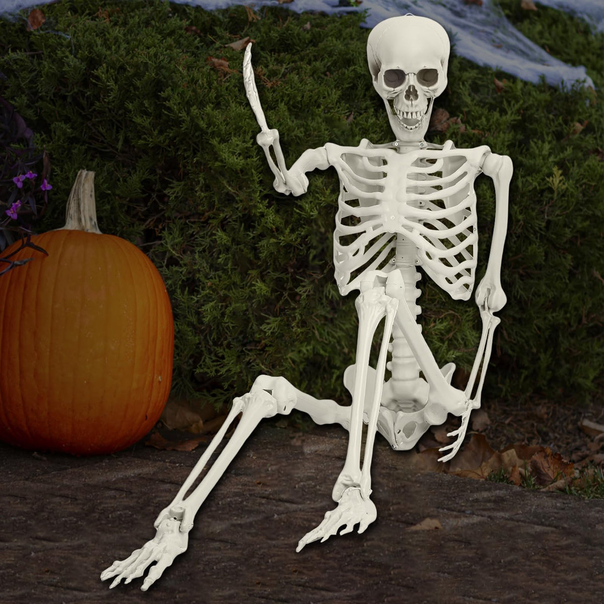 Life Size Posable Skeleton Prop J511093