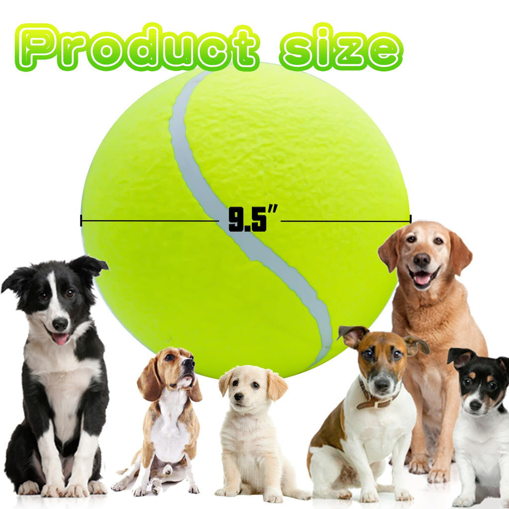 Dog Tennis Ball Y960