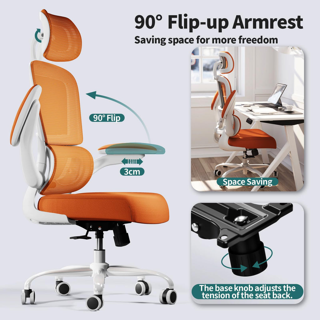 Ergonomic Office Chair with Lumbar Support Q56745