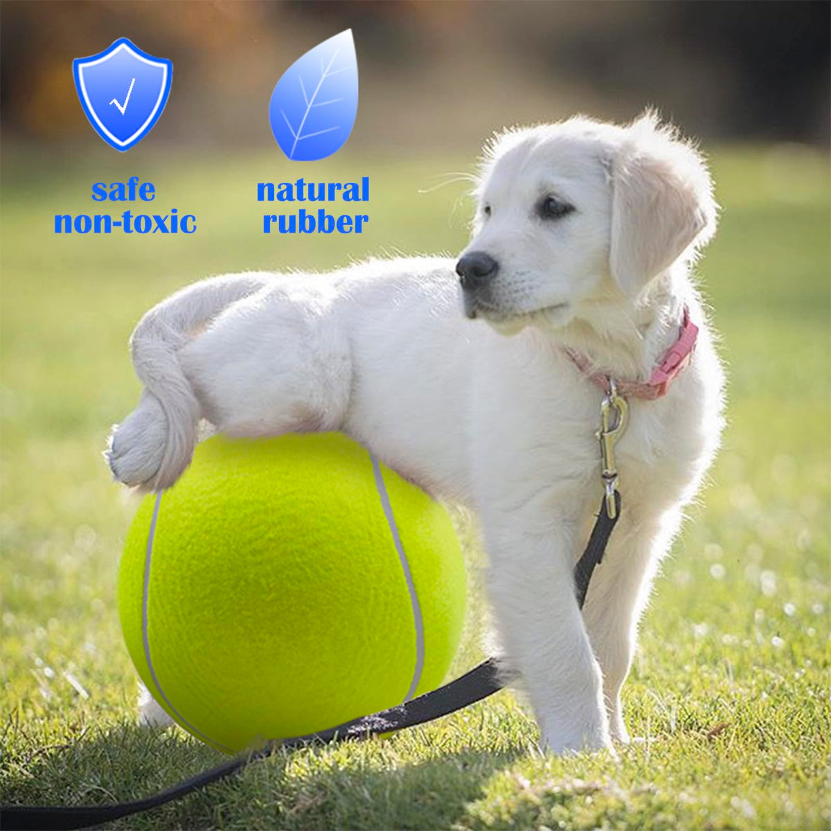 Dog Tennis Ball Y960