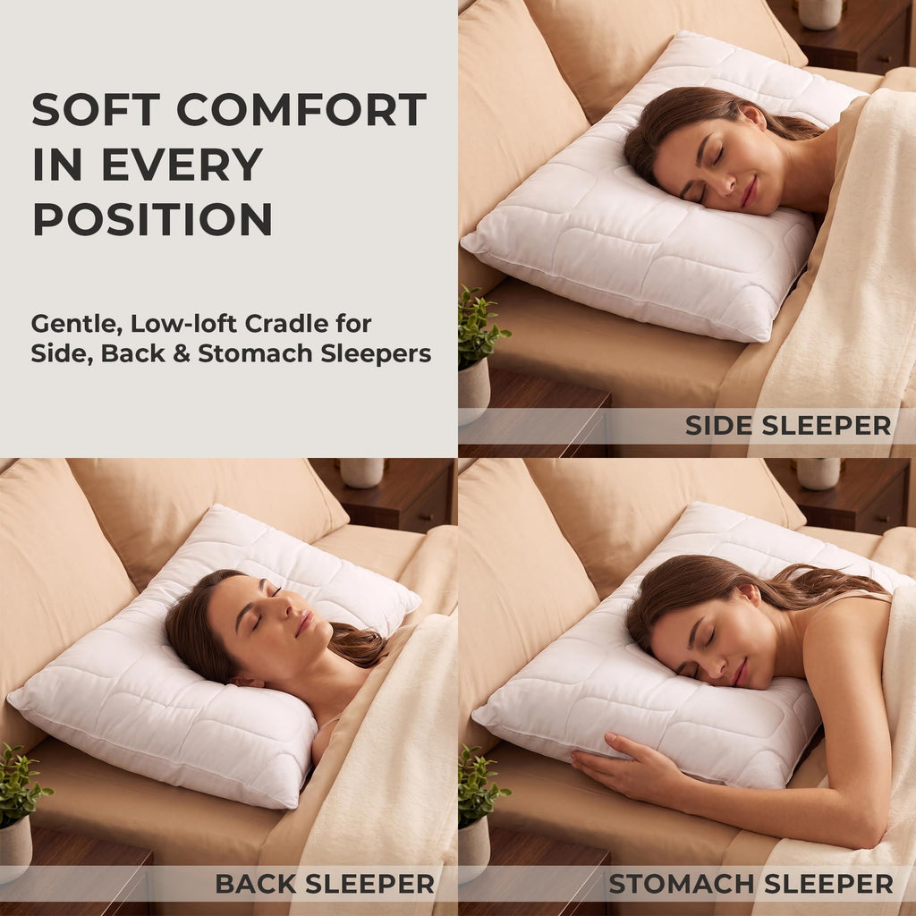 King Size White Cooling Down Alternative Pillows Set of 2 C80674