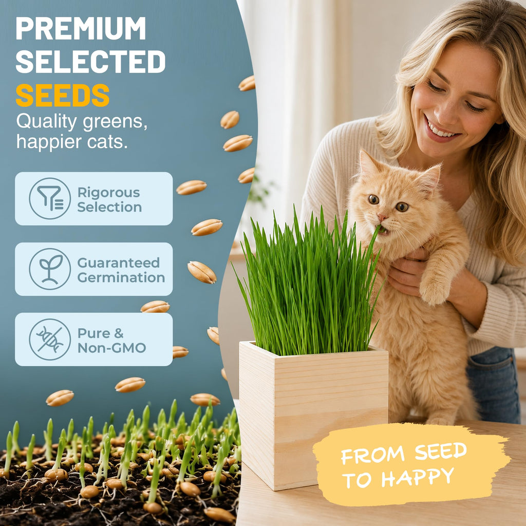 Cat Grass Growing Kit with Wooden Planter A2141