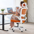 Ergonomic Office Chair with Lumbar Support Q56745