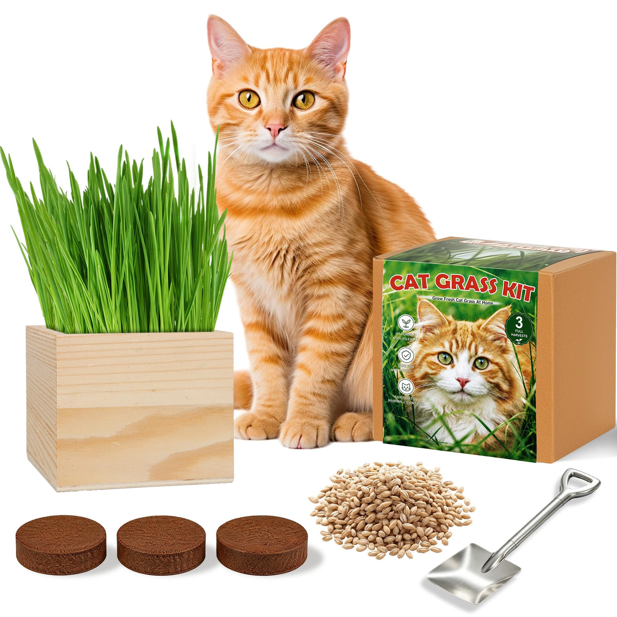 Cat Grass Growing Kit with Wooden Planter A2141