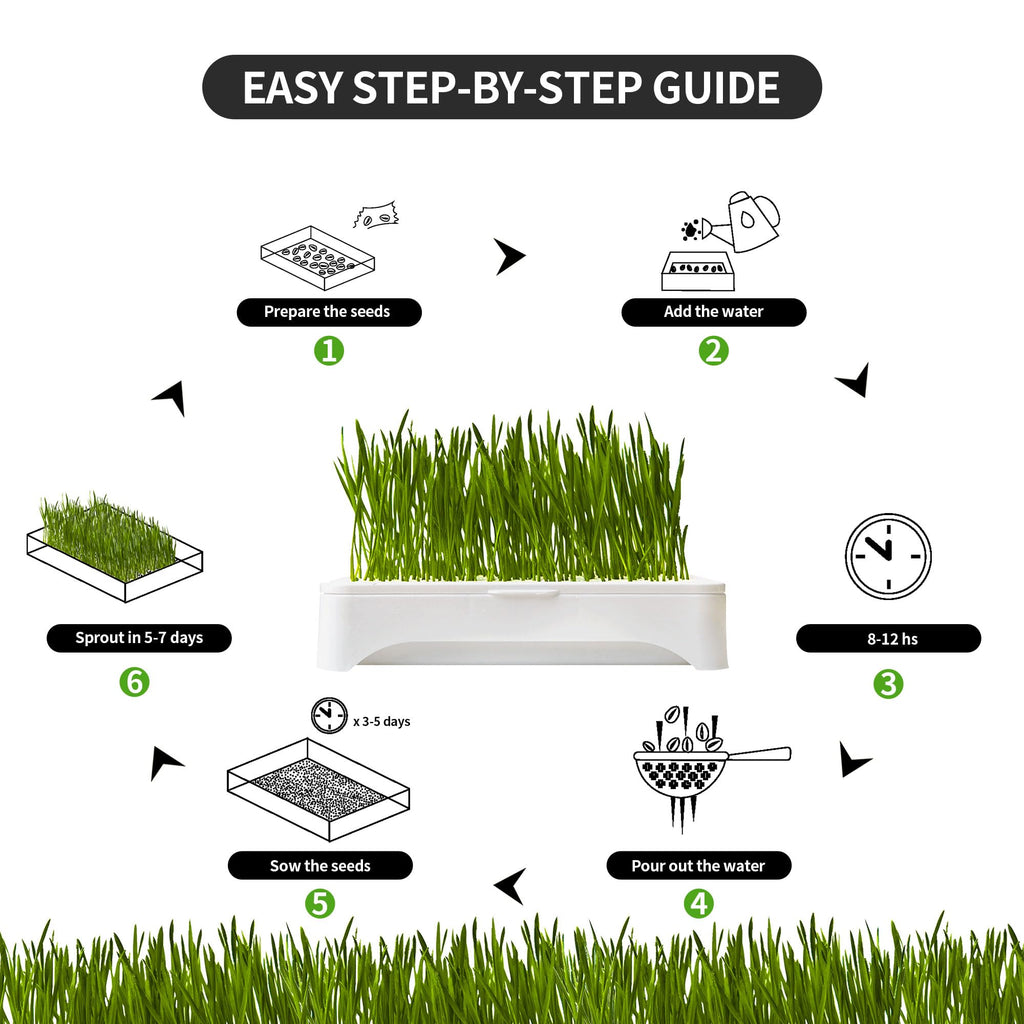 Cat Grass Kit with Organic Seeds Mix and Hydroponic Sprout Tray H3751